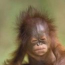 건제약국 | 스마일 라식 후기 (부제: 렌즈 이거 어떻게 처리함?)