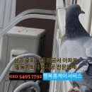 원천상가 이미지