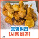 만나닭집 | 시흥 배곧 맛집 겉바속촉 치킨 맛집 동명닭집 방문기[동명닭집]