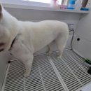 신남케어 이미지