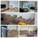 사니조아 | 촌캉스와 눈 산책