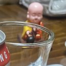 6/15 • 포항 방문한, 슬랩먹어본, 산업안전기사 취득 여성의 베란다텃밭가꾸는 일기