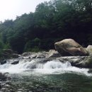 송림회관 이미지