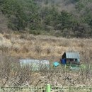 경남 창원시 진해구 죽곡동 요양원 최고의 자리[급매] 이미지