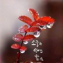 인연부동산공인중개사사무소 이미지