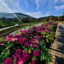 갈매천공원 이미지