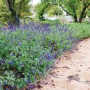 지리산허브벨리 | [남원여행 추천] 남원 지리산 허브밸리 &#39;스템프 이벤트&#39; 후기 - 메리골드 화분갈이 (feat. 애벌레)