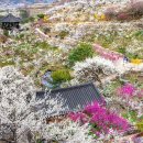 광양항해양공원 | 구례, 광양, 여수 힐링 여행 명소 15선 (자연, 감성, 주말여행)