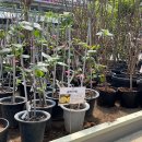 대림가든 이미지