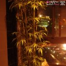 천수탕 | [대만3박4일가족여행] 첫째날 쌓인 여독을 깔끔히! 야경을 즐기며 유황온천을~