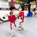 으뜸1태권도 이미지