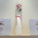 덕진카페보네로스터리