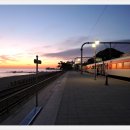 정동진역 이미지