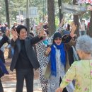 박정자 카카오 검색결과