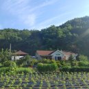 Healing Farm Stay 이미지