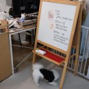 크리점빵 이미지