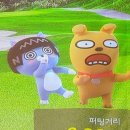 스카이스크린골프 이미지