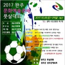 “2017 완주문화예술촌배 풋살대회” 이미지