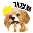 대박게임랜드 이미지