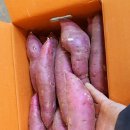 명지농장 네이버블로그