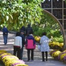 완도수목원 이미지