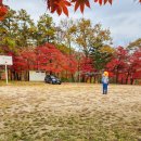 천안오토미션 | 오토캠핑 초보 캠핑 준비물 리스트 캠키 감성캠핑조명 LED 캠핑줄전구 낫마인 가을 차박