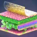 명품피부과의원 이미지