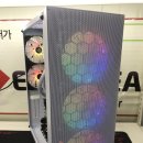 염*선