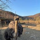 폭포수목장 이미지