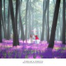 해송공원 이미지