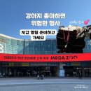 펫사랑일산점 | 강아지 좋아하면 지갑 열릴 수밖에 없는 행사… 일산 메가주 k펫페어 다녀옴
