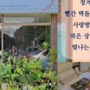 도현테라피
