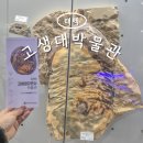 노인회관-우 | 태백 아이랑 가볼만한곳 태백고생대자연사박물관 입장료 주차장