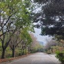 시민근린공원 화장실 이미지