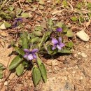 아쿠아필드 | 드디어 쓰는 하남스타필드 아쿠아필드 후기