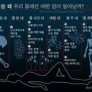 사람이 죽은후 우리 몸에선 어떤일 이? 이미지