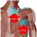 담에스테틱 이미지