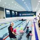 리틀아쿠아파크 이미지