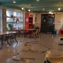 닥터파파동물병원 이미지