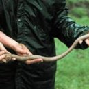 지렁이마을 이미지