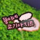 뚱이네 고기아지트 육지본점 이미지