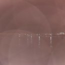 진포횟집 이미지