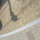 서하전기 이미지