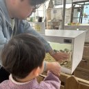 찬들농장 | [고양 아이랑 동물농장] 찬우물체험동물농장 후기