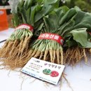 선향농장 이미지