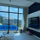 코커스101 이미지