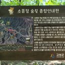 제271회 정기산행 08월02일 첫째일요일 소똥령 트레킹 이미지