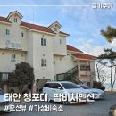 이마트24 태안마검포점 | 태안 청포대해수욕장 오션뷰 숙소 팜비치펜션