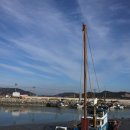 설도항 Daum카페