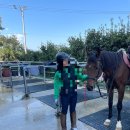 호포승마스쿨 | 경남 양산 호포승마스쿨 승마체험 후기 승마비용 부산승마